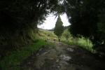 Weg zum Mt. Damper Fall