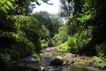 Plymouth, mitten in der Stadt im Park