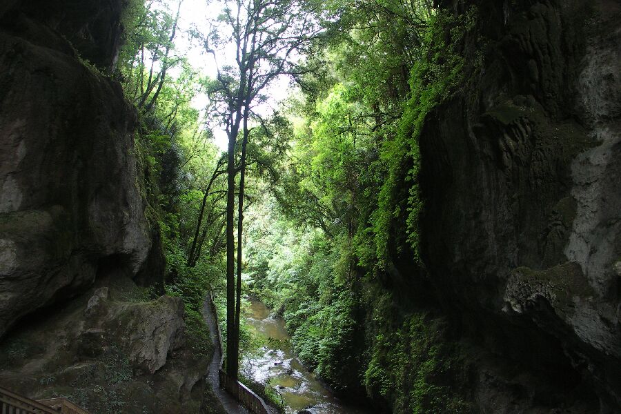 Schlucht an der Natural Bridge