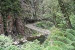 Karangahake Gorge