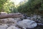 Zum Wentworth Wasserfall