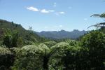 Coromandel Forest Park