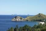 Hahei Beach