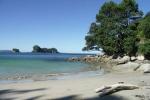 Hahei Beach