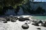 Hahei Beach