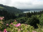Raus aus der Stadt, zur Banks Peninsula