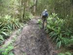 Mal keine asphaltierten Wanderwege