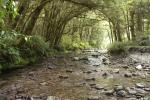 Kleine Wanderung am Burke Creek