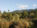 Cachesuche am Lake Paringa (vergebens)