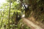 Abel Tasman Coastel Track