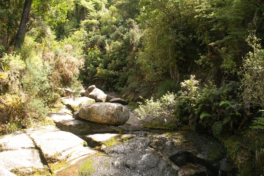 Abel Tasman