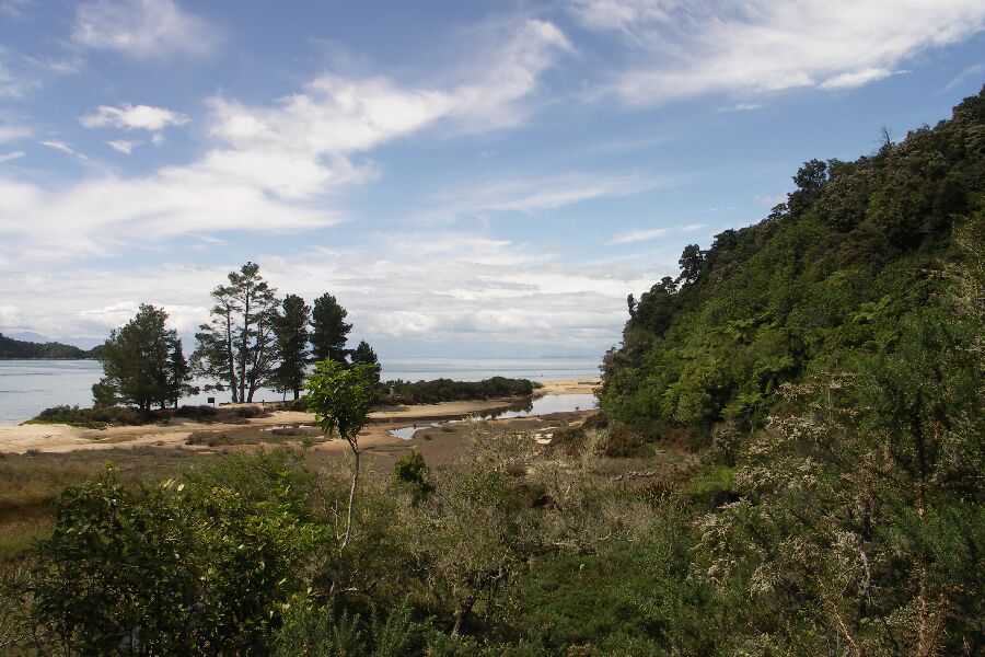 Abel Tasman