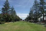 Napier, Promenade mit Zimmertannen