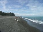 Napier Beach