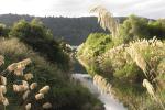 Lake Waikaremoana