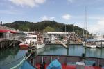 Gisborne Harbour