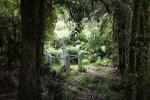 Josh Morgans Grave mitten im Dschungel