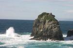 Am Ausgang des Charlotte Sounds liegt die raue Cook Strait