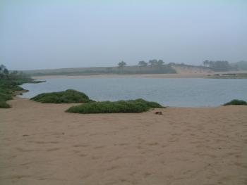 Naturpark Oyambre 