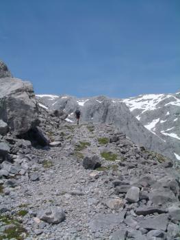 Picos de Europa