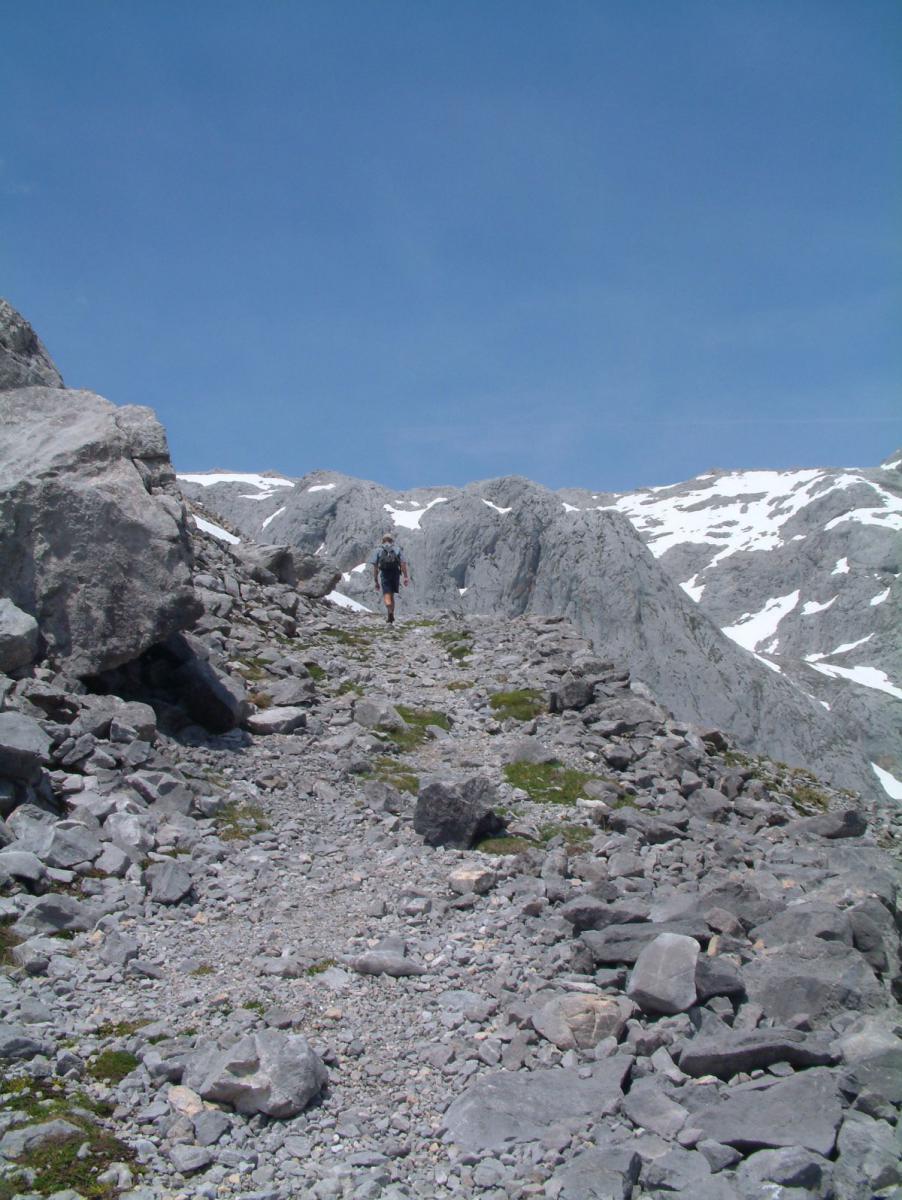 Picos de Europa