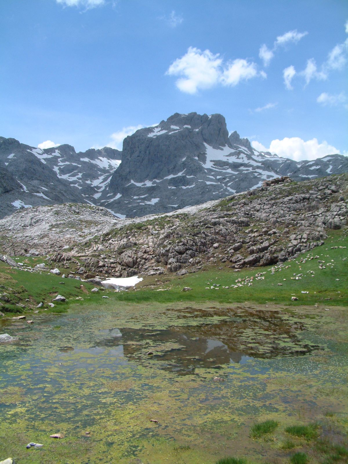 Picos de Europa