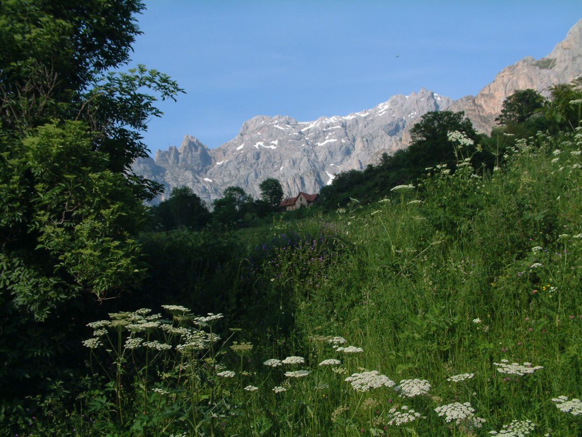 Picos de Europa