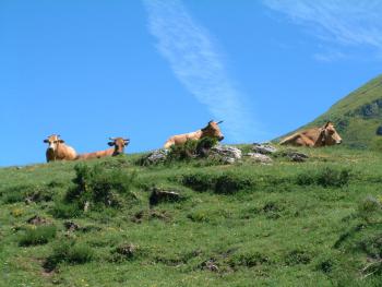 fast wie in den Alpen