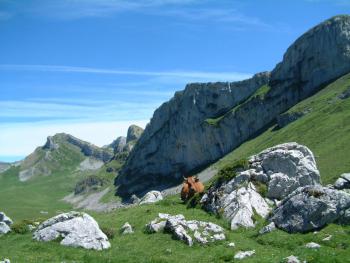 auf der Alm