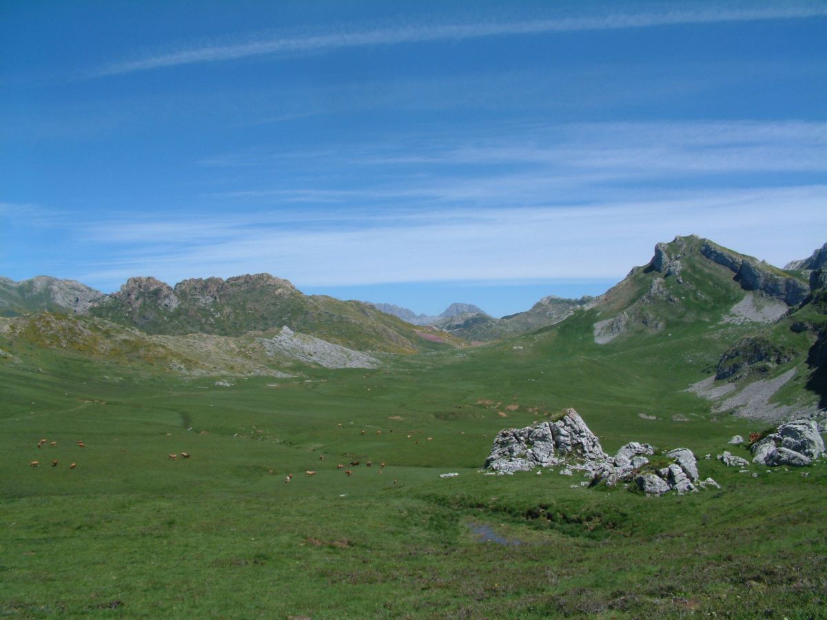 auf der Alm