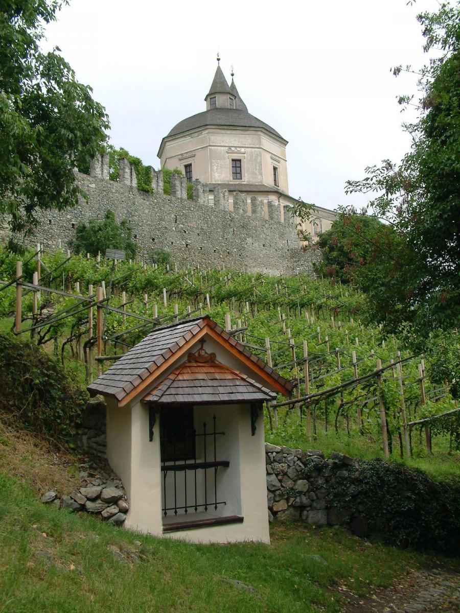 in den Weinbergen von Klausen