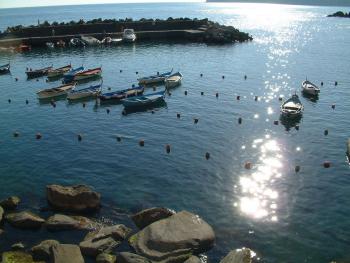 Hafen von Vernazza