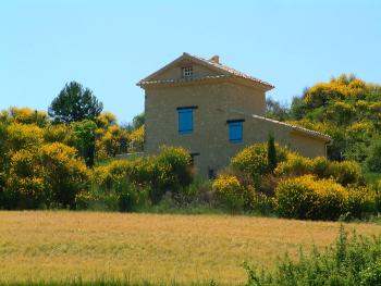 Provence, gehts typischer?