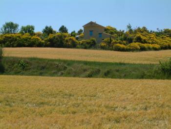 Provence, gehts typischer?