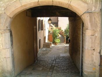 DSCF7630