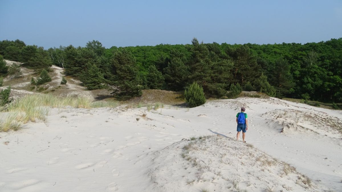 überall Dünen, auch wen diese hier nicht mehr viel wandern