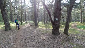 der internationale Radweg R10, auch Ostseeküstenroute genannt, bekleckert sich in Polen nicht mit Ruhm