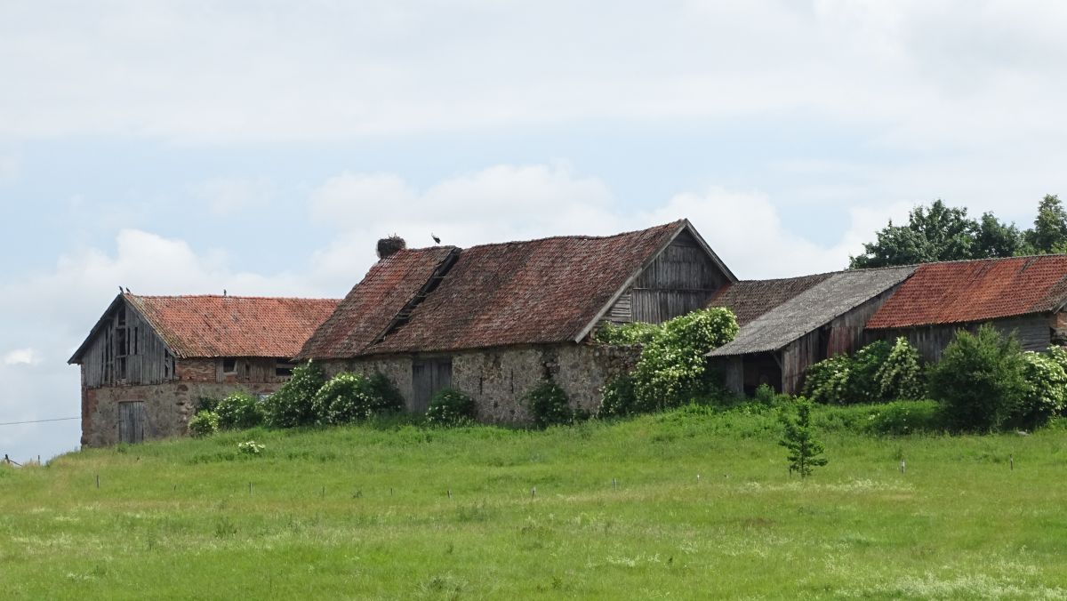 Gehöft mit Storch