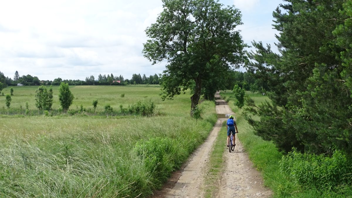 Feldweg nach Pülz