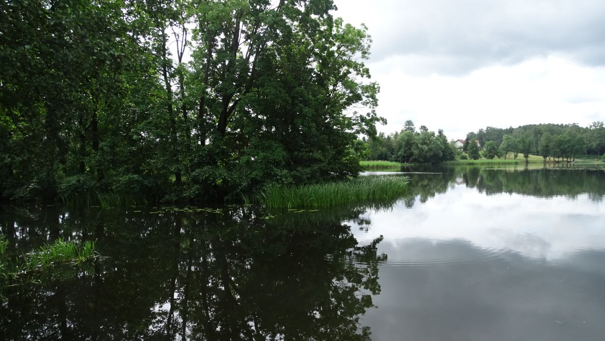 Stausee der Deine in Pülz