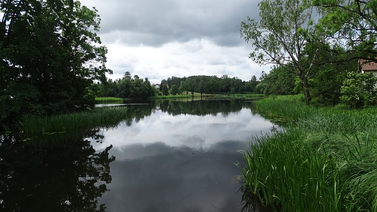 Stausee der Deine in Pülz