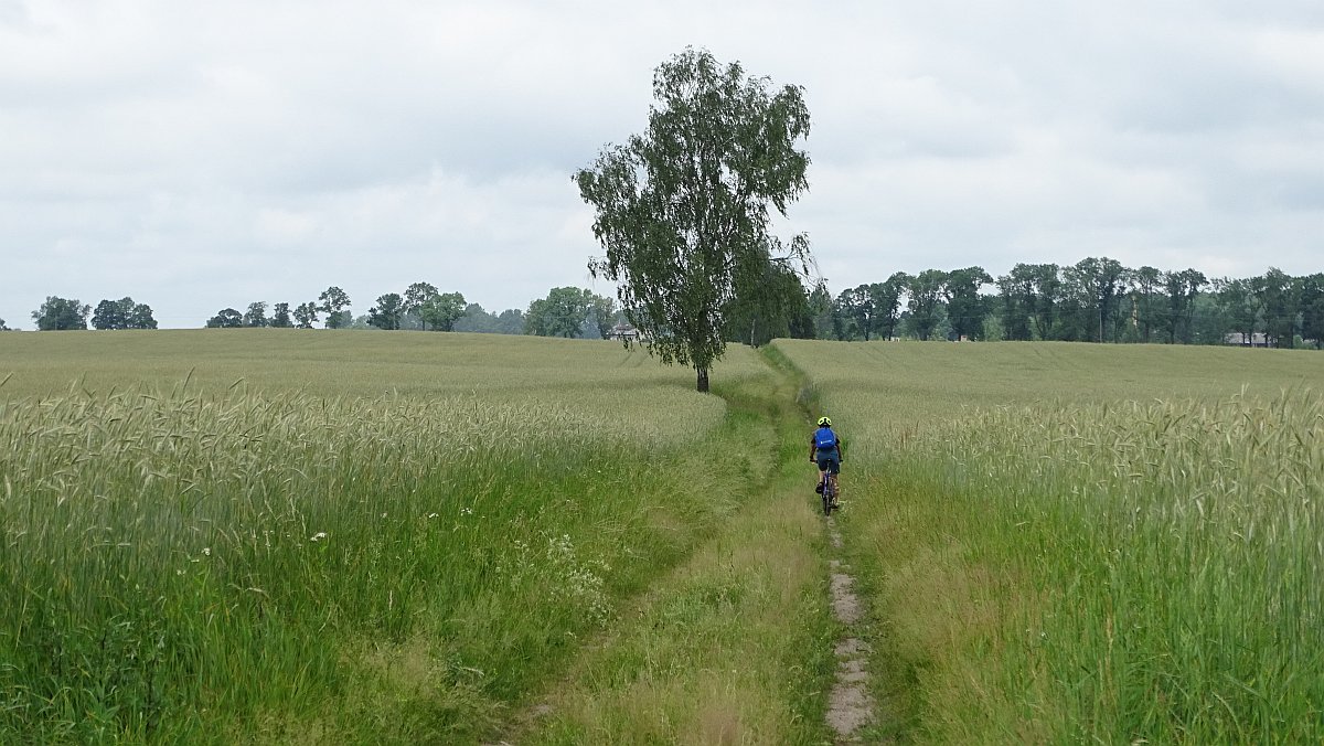 Wiesenweg nach Ramten