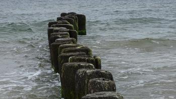 am Strand zwischen Klein Diewenow und Dievenow