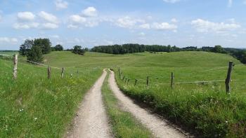 herrlicher Wiesenweg