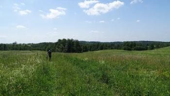 schwierige Wegstrecke über hüglige Wiesen