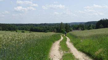 Weg nach Willudden