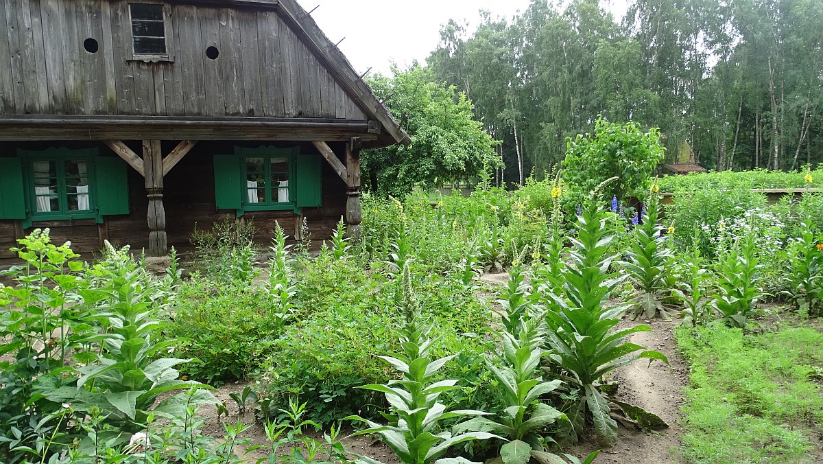 Freilichtmuseum Hohenstein (Olsztynek)