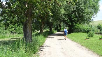 Straße nach Remboschewo