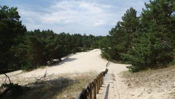 Binnendünenlandschaft bei Freichow