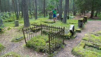 alter Friedhof im Wald